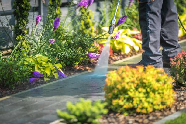 Best Gutter Cleaning  in Hartland, WI